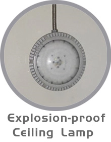 Explosion-proof-Ceiling-Lamp.webp